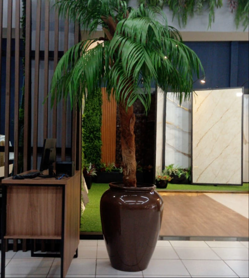 Coqueiro Desidratado | 2,5m de altura | Plantas Permanentes