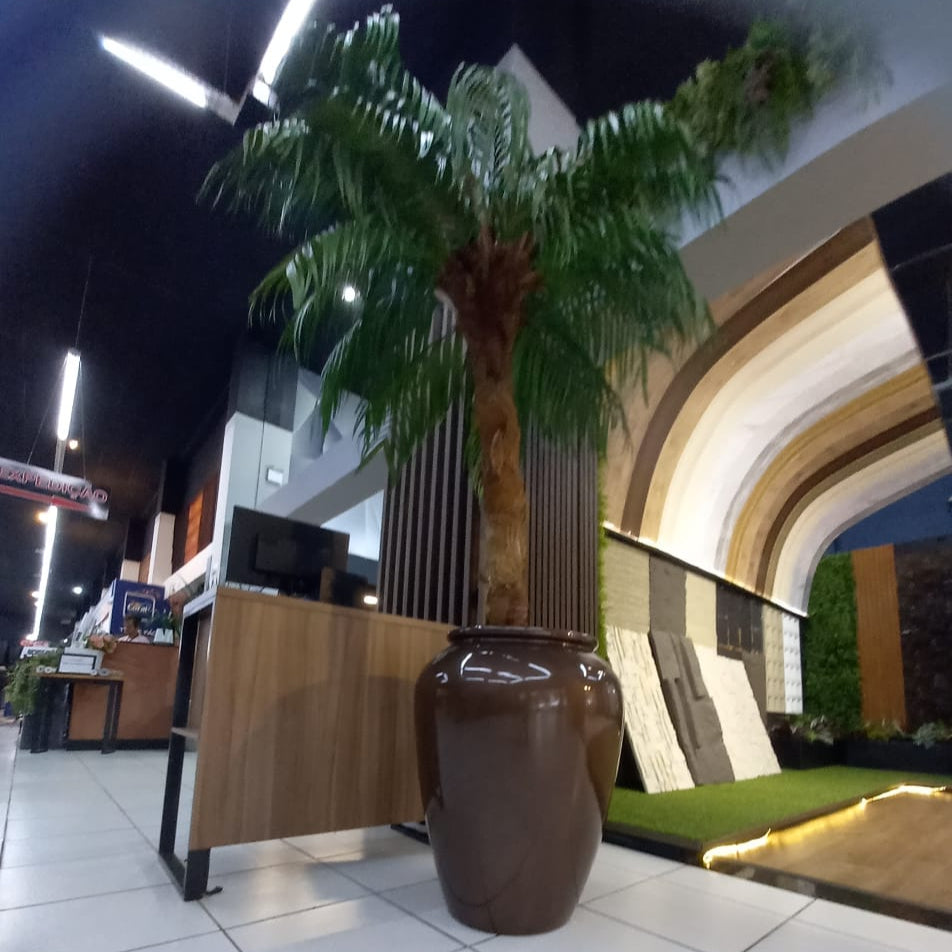 Coqueiro Desidratado | 2,5m de altura | Plantas Permanentes