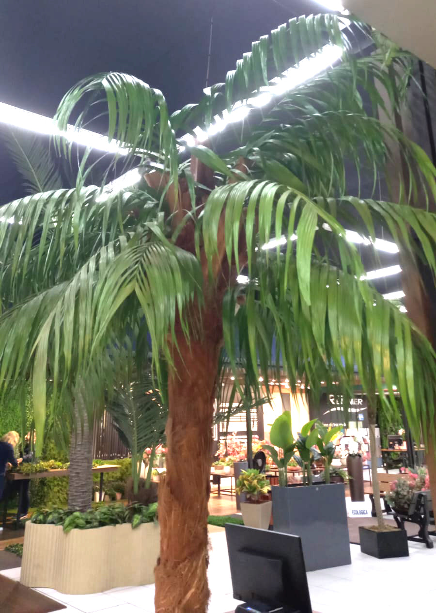 Coqueiro Desidratado | 2,5m de altura | Plantas Permanentes