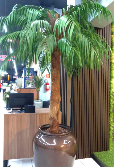 Coqueiro Desidratado | 2,5m de altura | Plantas Permanentes