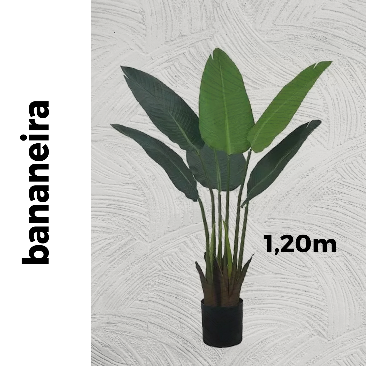 Bananeira | 1,20m de altura | Plantas Permanentes