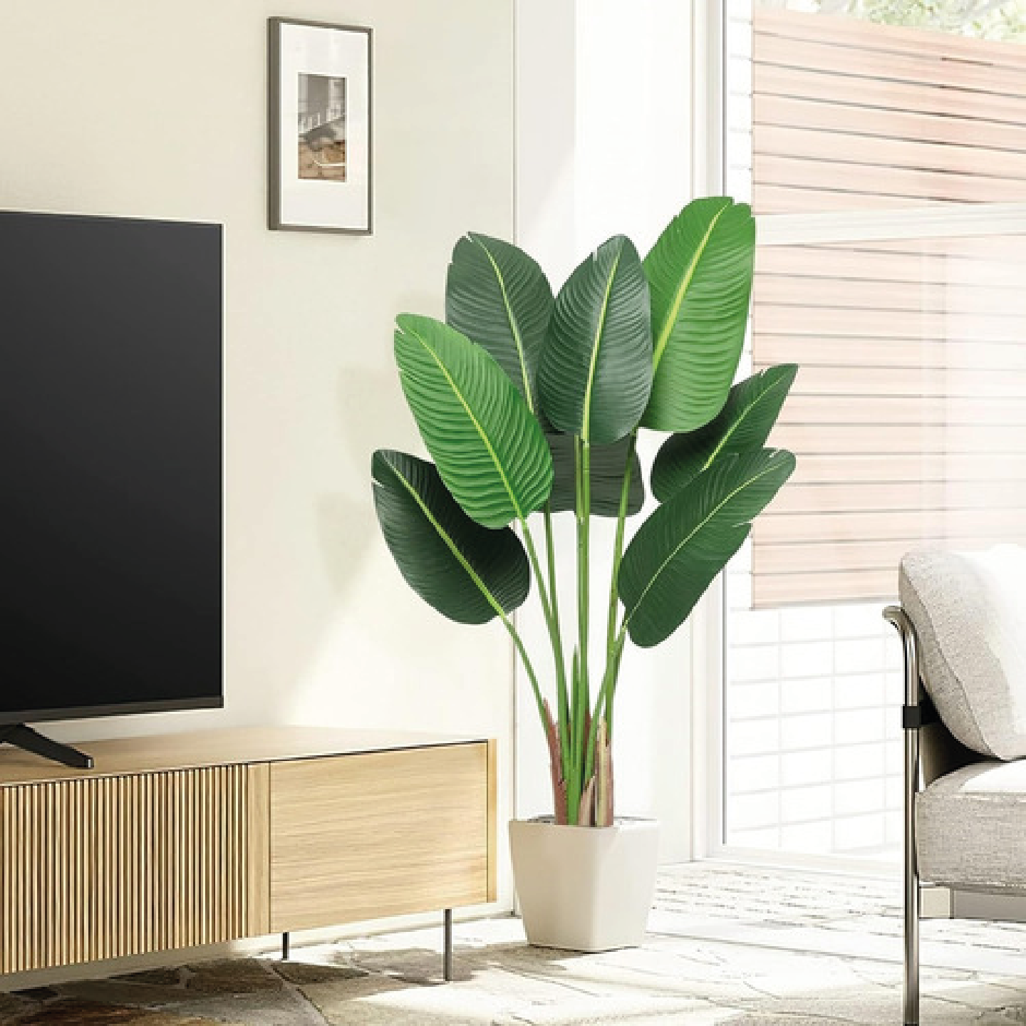 Bananeira | 1,20m de altura | Plantas Permanentes