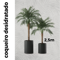 Coqueiro Desidratado | 2,5m de altura | Plantas Permanentes
