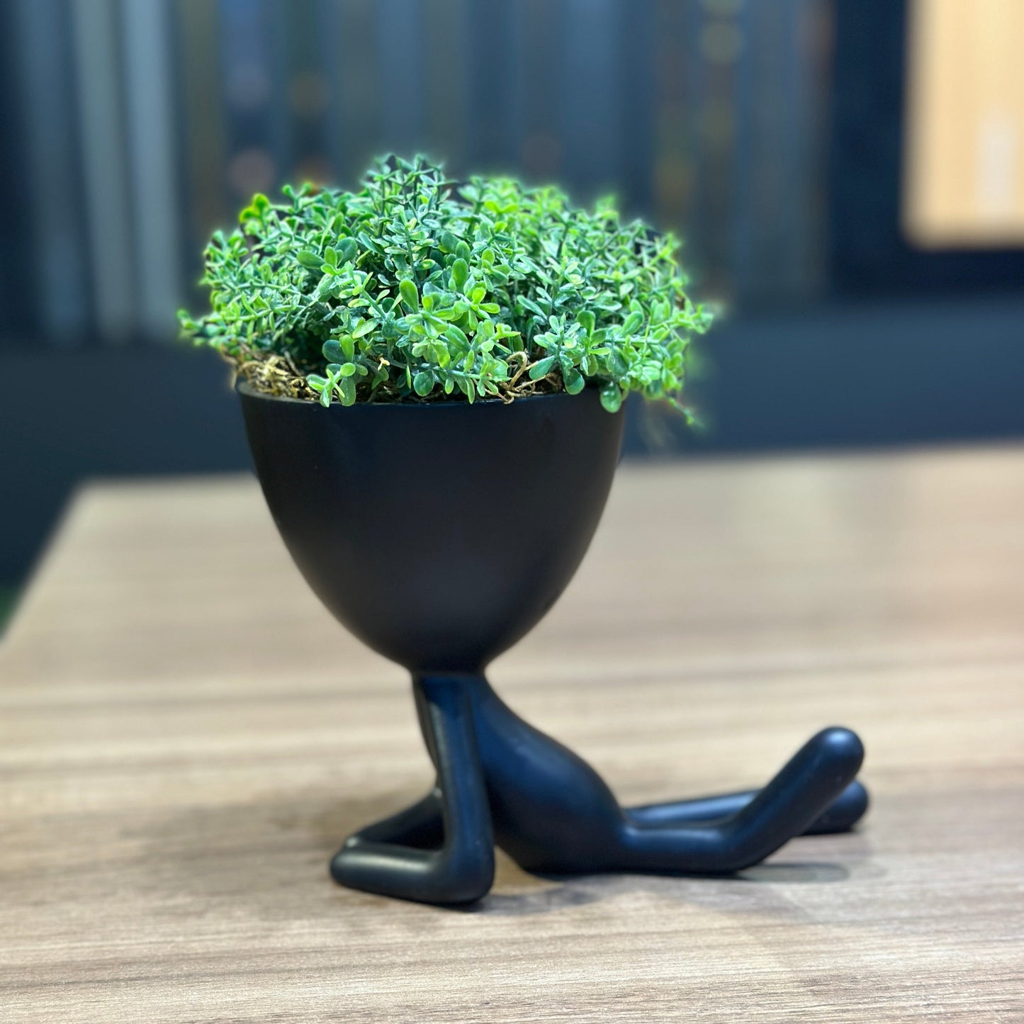 Vaso Mini Preto Decorativo Boneco Deitado com Planta Suculenta Permanente