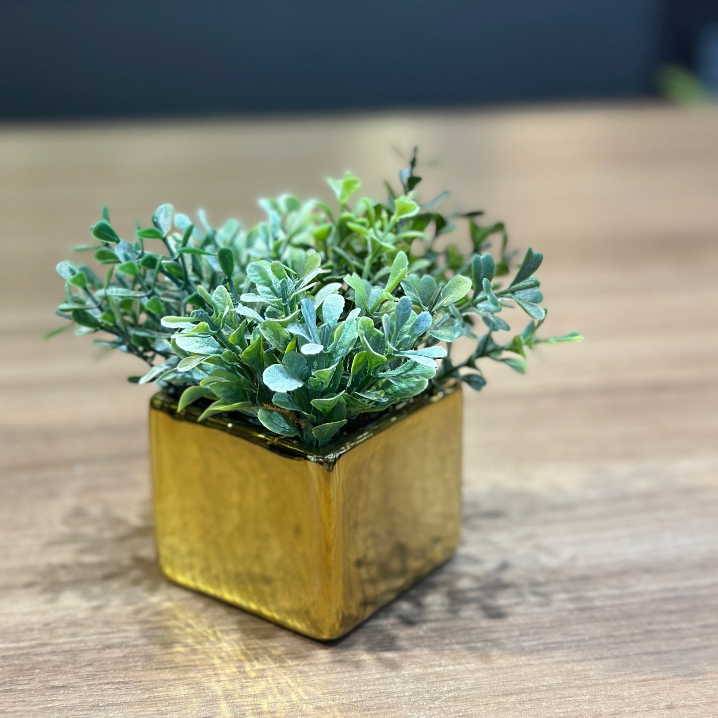 Vaso Mini Quadrado Dourado Decorativo com Folhagem Permanente