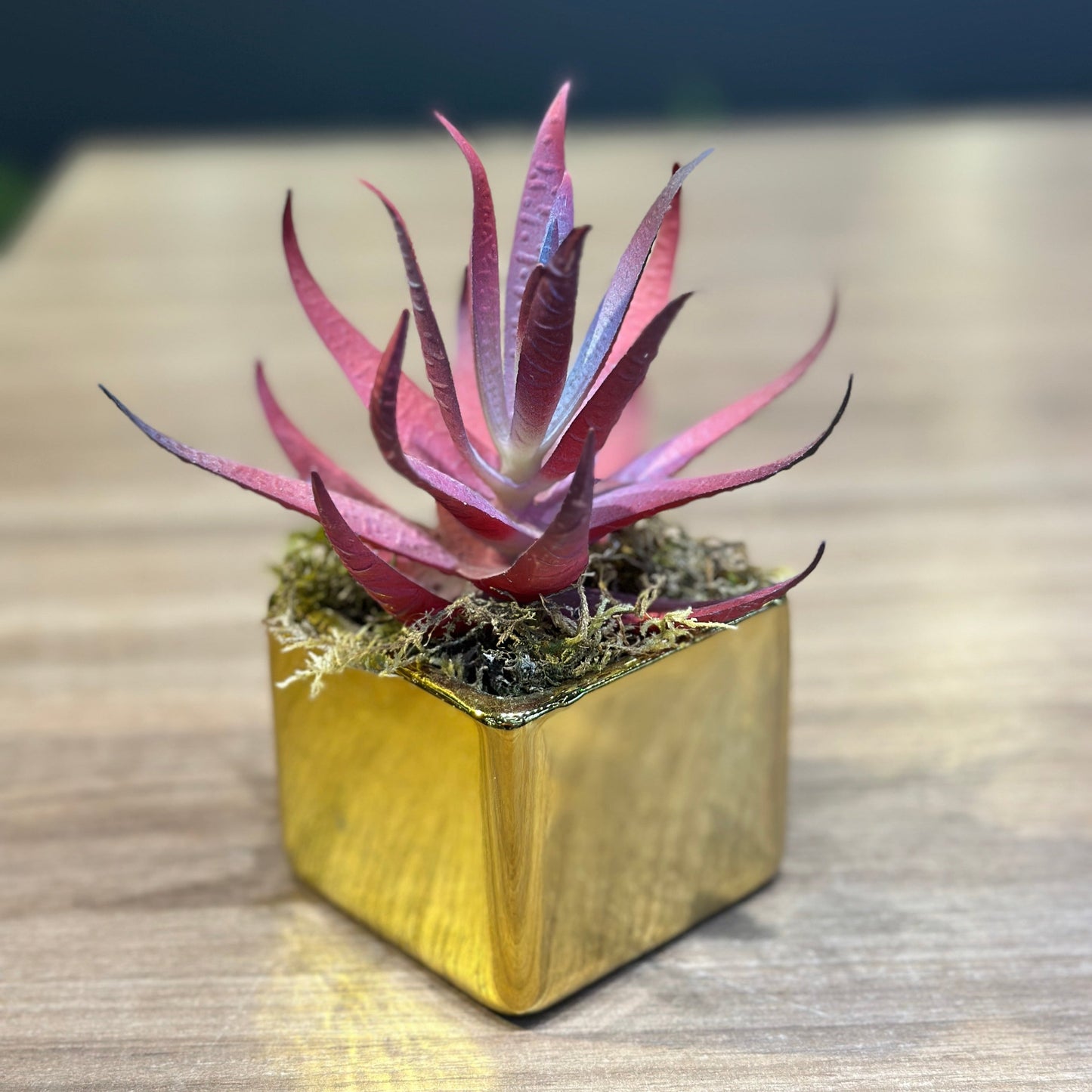 Vaso Mini Quadrado Dourado Decorativo com Planta Vermelha Permanente
