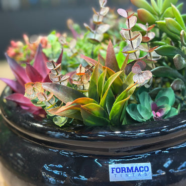Vaso Médio Preto Decorativo com Plantas Suculentas Permanentes