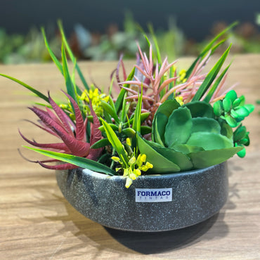 Vaso Cerâmica Marrom Decorativo com Plantas Suculentas Permanentes