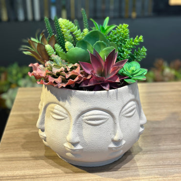 Vaso Cerâmica com Rosto Abstrato Decorativo com Plantas  Suculentas Permanentes