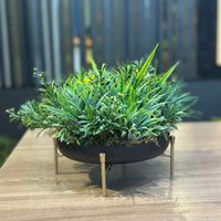 Vaso Raso Decorativo com suporte e Plantas Permanentes