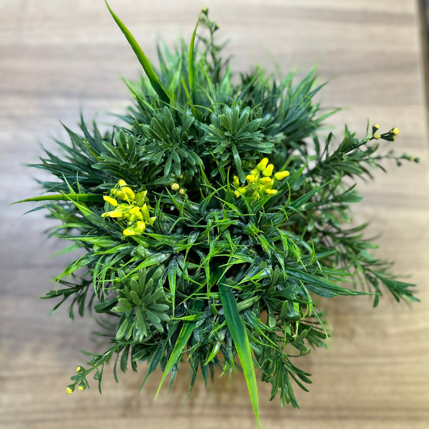 Vaso Raso Decorativo com suporte e Plantas Permanentes