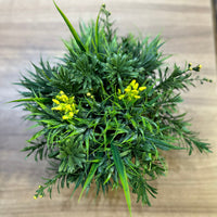 Vaso Raso Decorativo com suporte e Plantas Permanentes