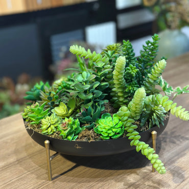 Vaso Raso Decorativo com suporte e Plantas Suculentas Permanentes