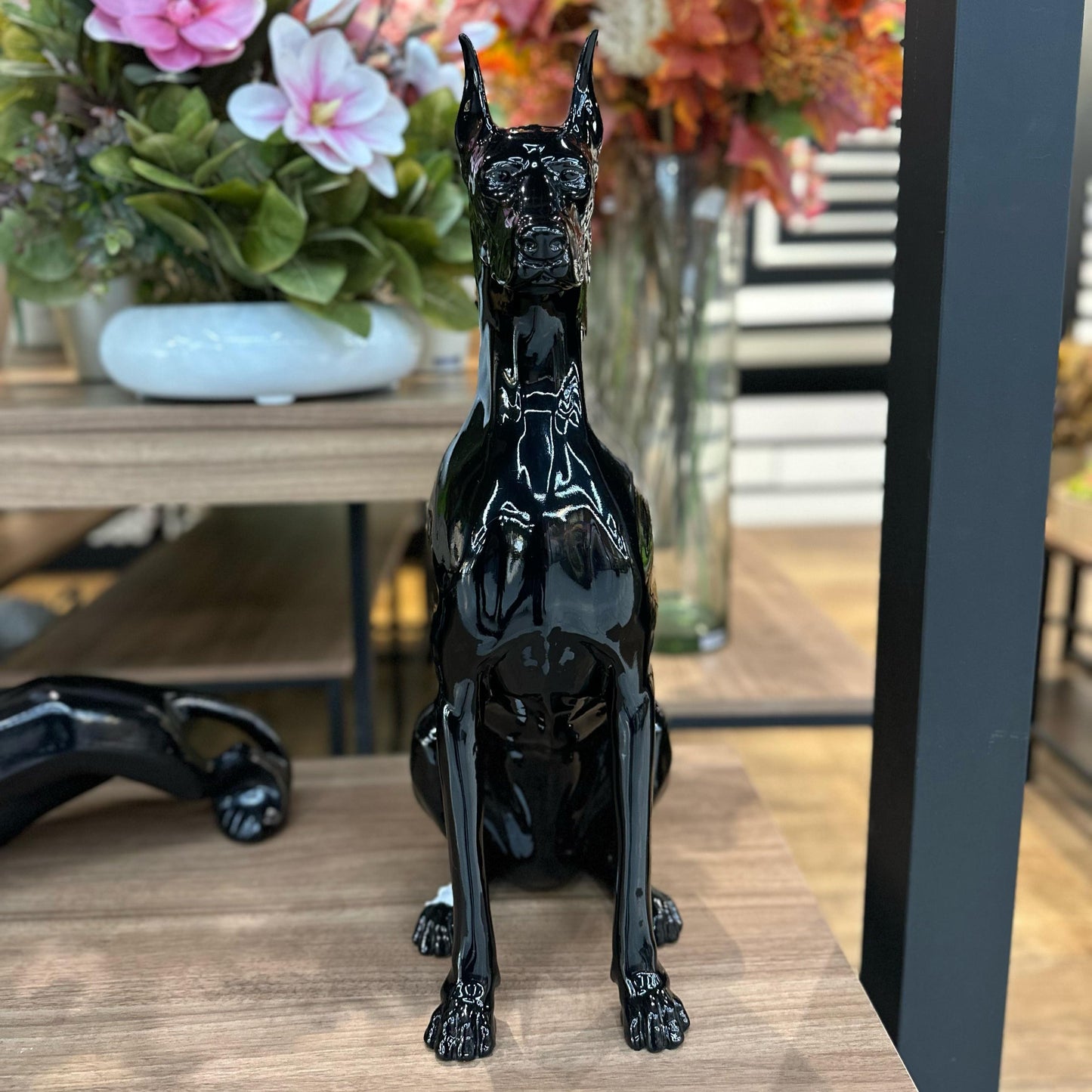 Estátua Dobermann sentado | 60x35 | preto brilhante